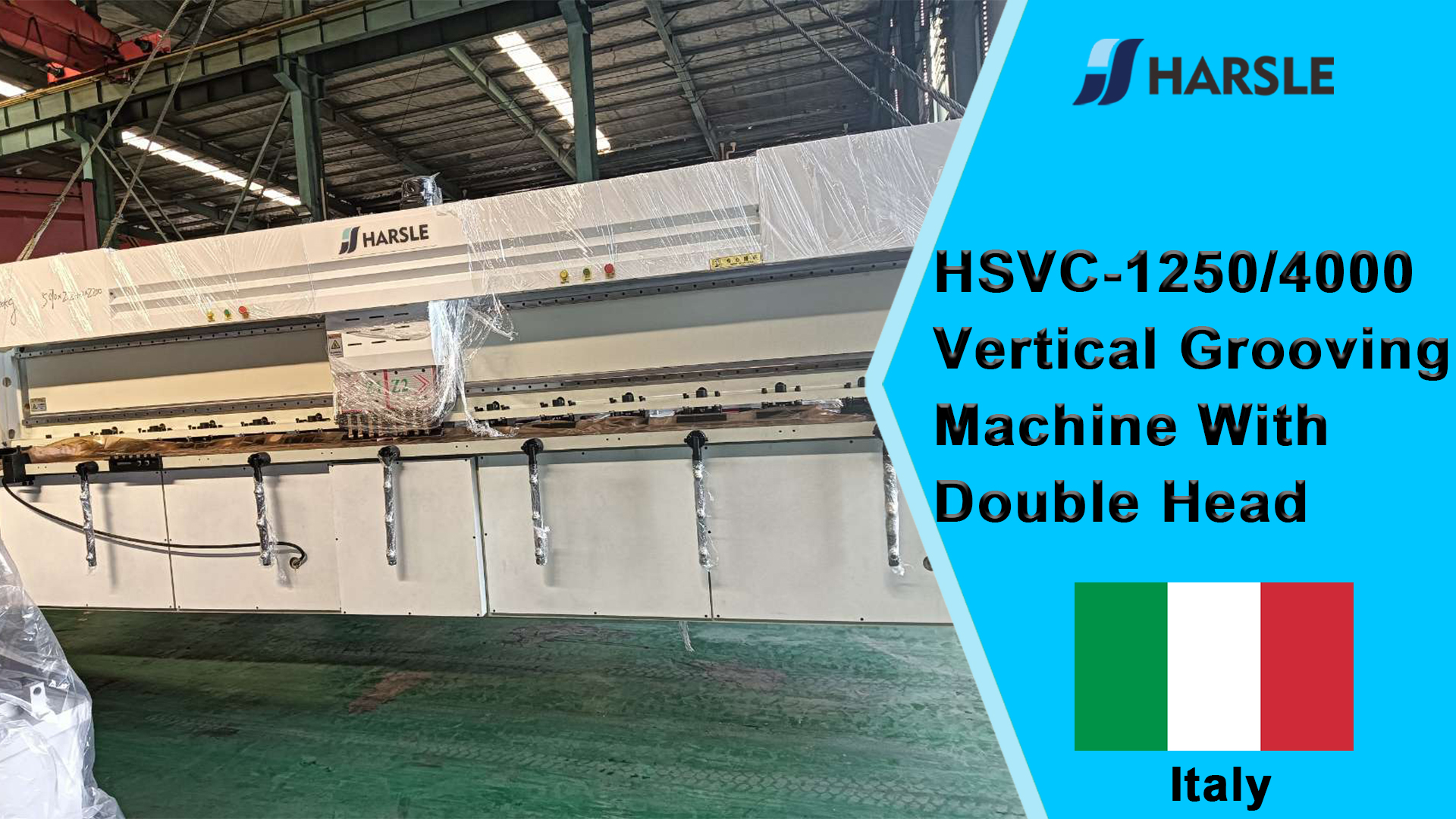 Italy-HSVC-1250/4000 Scanalatrice verticale a doppia testa